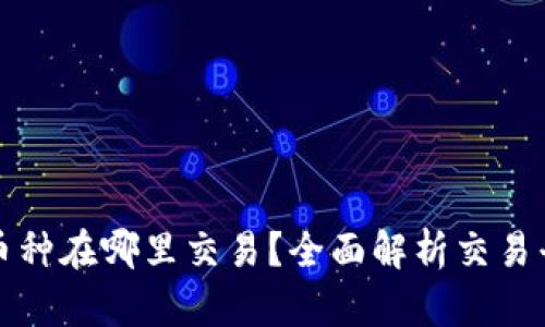 区块链的币种在哪里交易？全面解析交易平台与市场