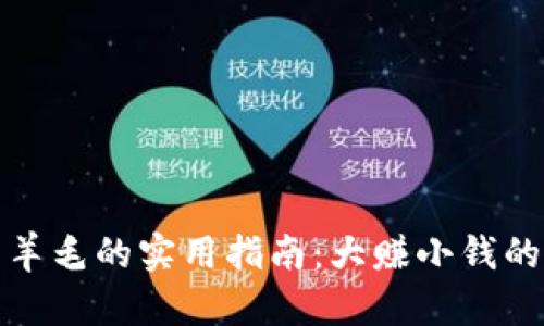TP钱包薅羊毛的实用指南：大赚小钱的投资技巧