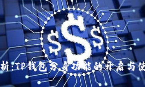 全面解析：TP钱包分身功能的开启与使用指南